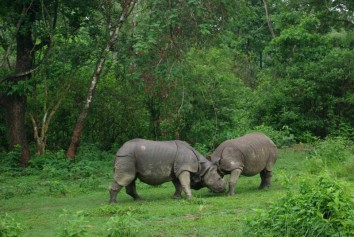 Chitwan National Park Tour